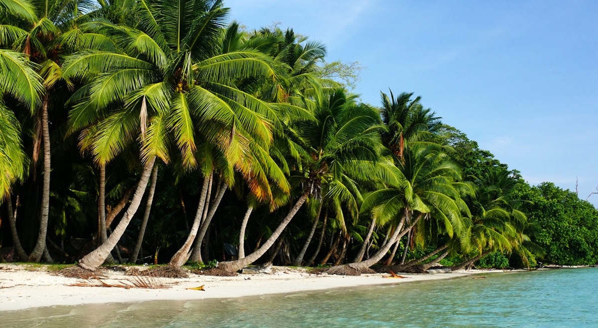 Kerala Backwaters