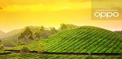 Munnar to Alleppey