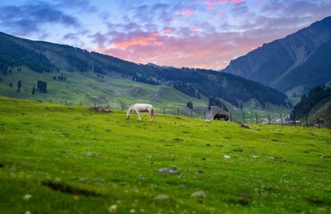 117 Kashmir Tour Packages Book Kashmir Packages And Plan Your Kashmir Trip Now