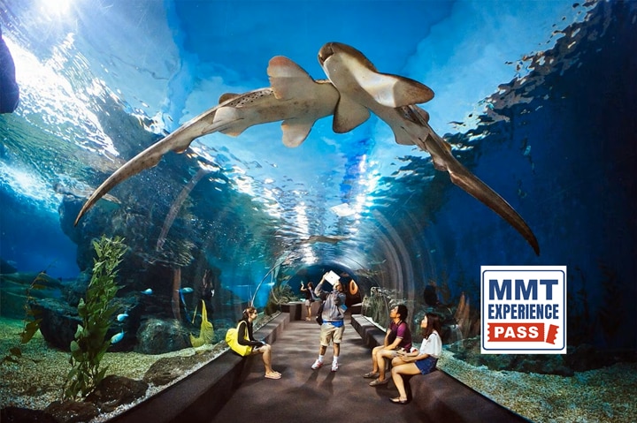 MMT Experience Pass Pattaya-3 Activity Pass